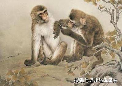 不拿金为贵 天体南观示 明香一对腊 戏弄美人家 打一精准生肖，详细解答解释落实_of72.40.05