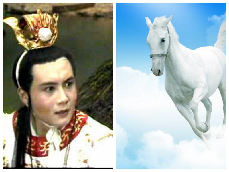 有缘千里来相会无缘对面不识君是什么生肖，科学解答解释落实_4qv44.57.37