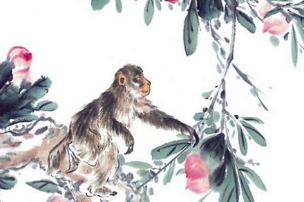 春华秋实猴摘果,不离一二取厚利是什么生肖，精准解答解释落实_7551.03.95