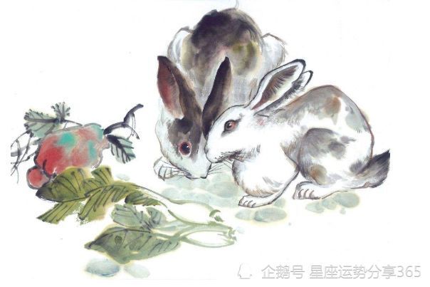 春虎夏蛇逐野兔，水火不容两相斗，综合解答解释落实_vk33.80.92