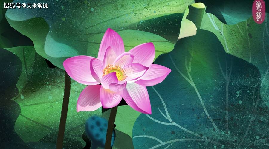 今期生肖找荷花，开天壁地金银现，前沿解答解释落实_et53.41.43