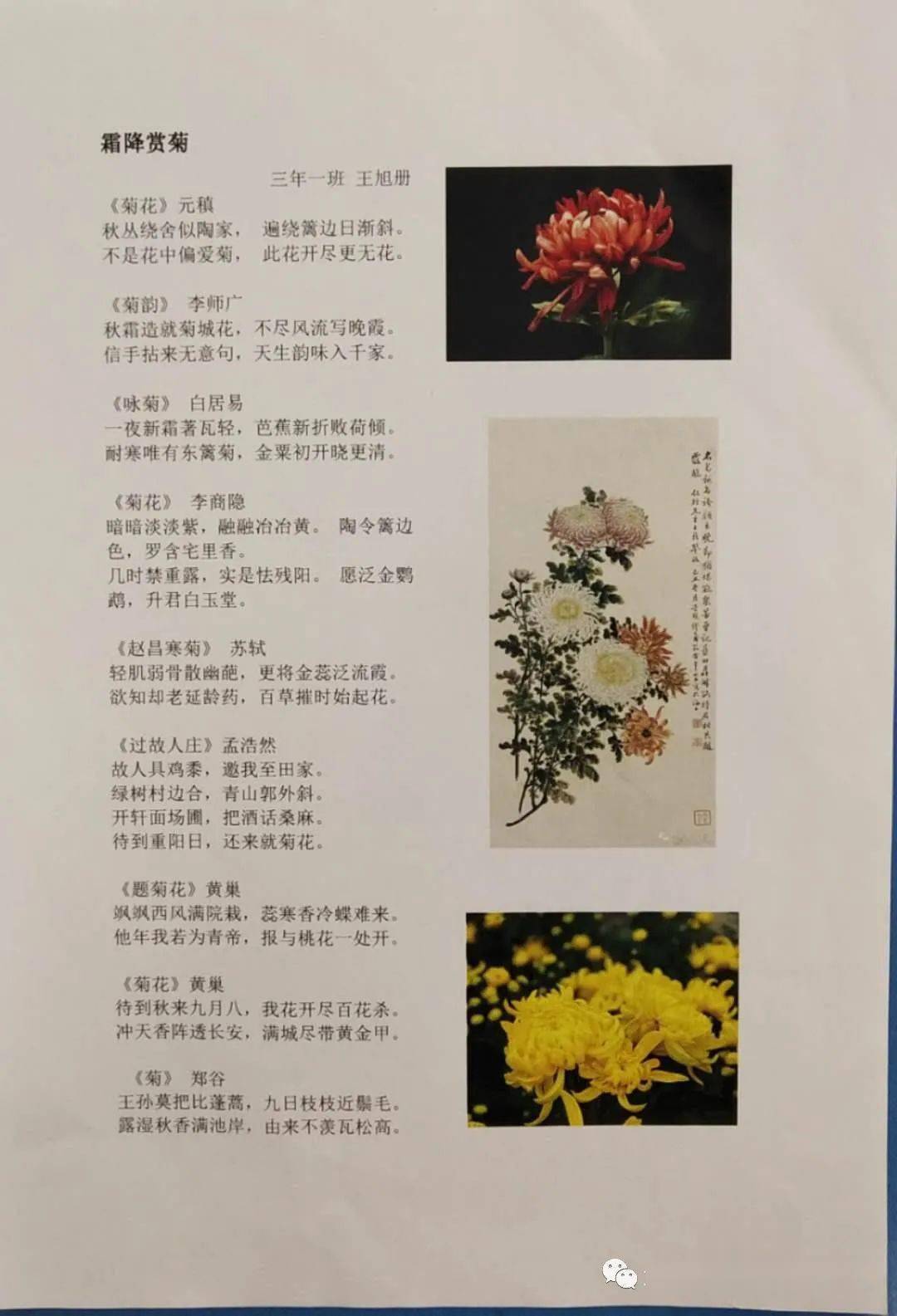 春华秋实猴摘果,不离一二取厚利是什么生肖，构建解答解释落实_9xh80.04.64