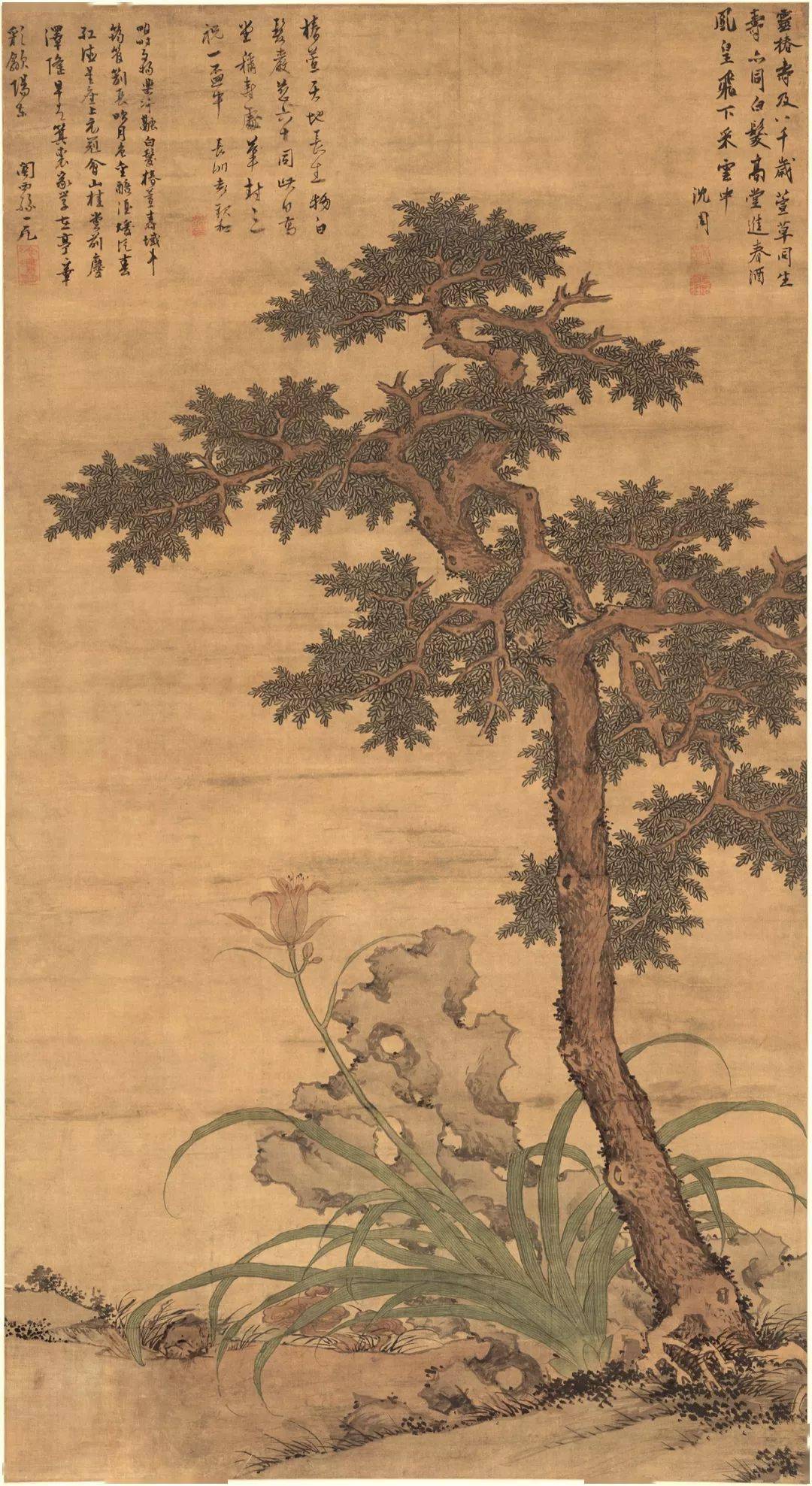 看点 第5页