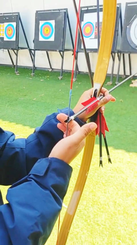 彎弓射鹅，一擊即中，唾手而得太輕鬆;打一肖，详细解答解释落实_1k48.78.71