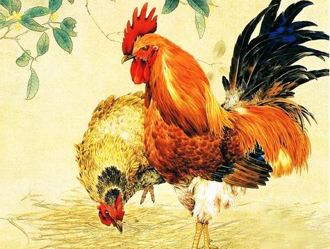 鹤立鸡群高一等蛇入草地迷众人正确生肖，统计解答解释落实_7w963.47.49