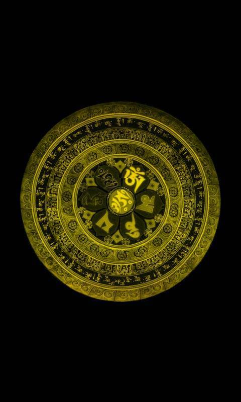 今期生肖皆利字， 珠机不离本期五， 大门还是很不昏， 吉人天相夺巧路。打一正确生肖，全面解答解释落实_4n80.64.40