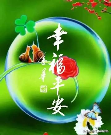 在外出门小心好凡事低调平安喜是什么生肖，实时解答解释落实_bv36.10.24