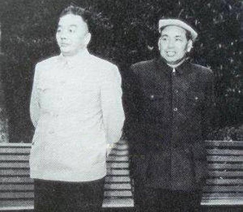 面不改色善掌控,博弈门砖自敢敲的动物是什么，深度解答解释落实_8z20.20.13