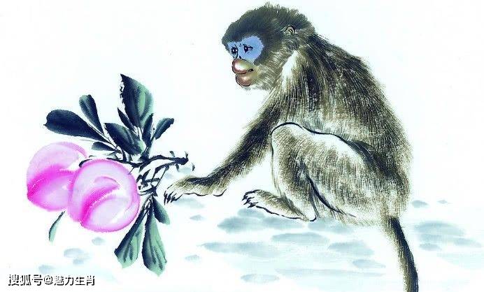千变万化猴机灵,家有客人来半天打一生肖，综合解答解释落实_ii98.08.27