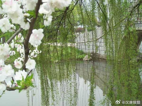 有意插柳，無心栽花 悉心栽培也是假猜一肖，时代解答解释落实_2c39.32.43