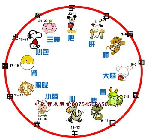 “猪狗不如夜寻欢”是指什么生肖，构建解答解释落实_jt67.33.43