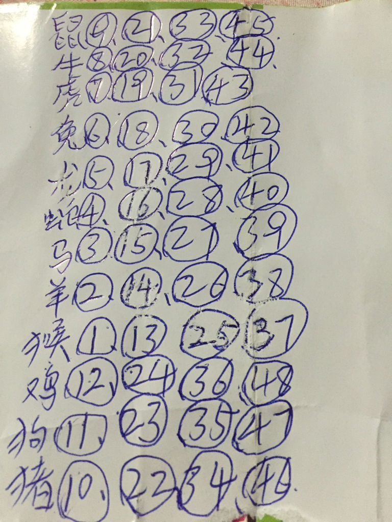 相映成趣似姊妹打一生肖，统计解答解释落实_71594.15.74