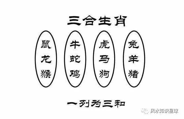 羊龙虎马三五回打一生肖，构建解答解释落实_z769.35.22