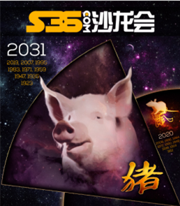 “猪狗不如夜寻欢”是指什么生肖，构建解答解释落实_5vy00.58.36